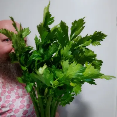 Heikki Piirainen