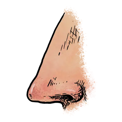 nen