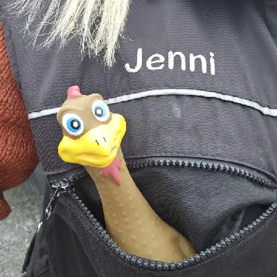 Jenni